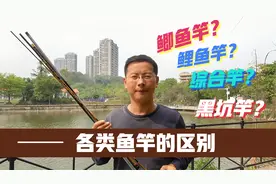 不再怕买错鱼竿了！鱼竿设计师教你正确区分各类鱼竿，这下全懂了视频封面