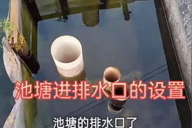 小细节决定大成败，你知道池塘进排水管道怎样安装不容易堵塞吗？
