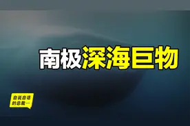 2300米下发现未知鱿鱼，慢慢破解悬案，发现了南极深海巨物的秘密