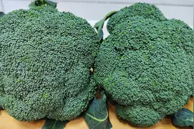 凉拌西兰花，直接焯水就错了，教你正确做法，脆嫩入味营养不流失视频封面