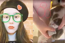 范冰冰用奢侈品给猫洗脸，意外暴露她小腿的秘密，让人太意外