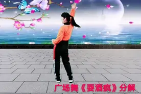 广场舞《耍酒疯》正面加背面动作分解  学起来吧