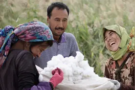 棉花何以成为战略物资？细数新疆棉前世今生视频封面