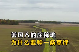 美国人的庄稼地，为什么要种一条草坪？这能起到什么作用？视频封面