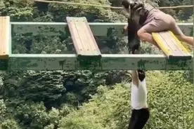 湖北恩施地心谷回应“游客从高空坠落”：人无大碍，项目已关停