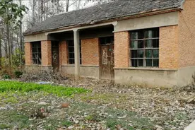 农村老房子的蛇，见到就绕着走，老人说这是在守宅视频封面