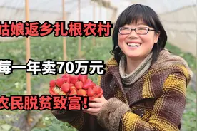 苏州姑娘返乡扎根农村，靠草莓一年卖70万元，带领农民脱贫致富！视频封面
