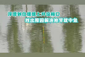 浮漂缓缓上顶没顿口不中鱼？罪魁祸首在这里，这样调整轻松解决！视频封面