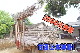 广西牛人，2000元改装甘蔗上车神器，简直太方便了，你见过吗？视频封面