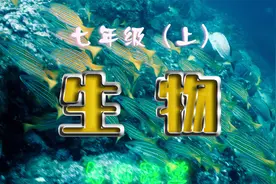初一生物（上册） 3.6  第2节 植株的生长视频封面