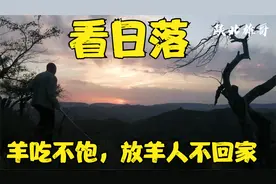 羊吃不饱，放羊人不回家，黄昏看日落…视频封面