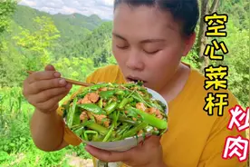 生活忙碌但充实，今天摘点新鲜空心菜杆炒肉，加把辣椒超下饭视频封面