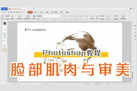 ps人像修图原理知识：脸部骨骼肌肉结构与面部审美视频封面