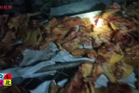 东北人咋“挂蜡儿”？起早巴眼老两口开始“鼓秋”，鲜货真不少！视频封面