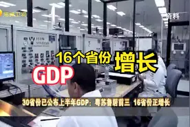 30省份已公布上半年GDP：粤苏鲁居前三 16省份正增长视频封面