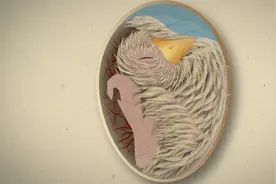 小鸡在孵出之前，是如何在密闭的蛋壳里进行呼吸的，涨知识了！