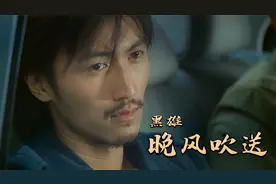 《晚风吹送》黑雄，最近很火的粤语歌曲，岁月无情谁来陪我哼阙歌视频封面