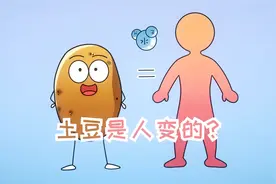 土豆难道是人变的？视频封面