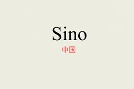 轻松学英语、每天仨单词【sino】中国视频封面