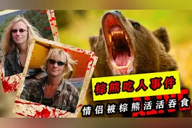 棕熊吃人的真实案件：男子想与熊交朋友，却连累女友一起被熊吞食视频封面