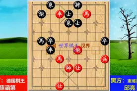 世界象棋锦标赛，德国棋王VS柬埔寨棋王，妙招跌出，精彩绝伦视频封面