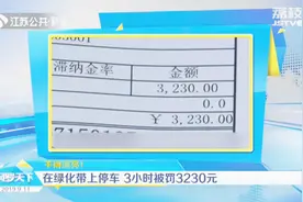 这个罚款干得漂亮！车主停车3小时被罚3230元，原来是按面积收费视频封面