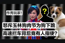 高速抢下600只狗？爱狗人士终露马脚，因分赃不均意外暴露产业链视频封面