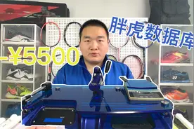 看懂评测！一个视频讲清楚羽毛球拍各项数据，什么是挥重？视频封面