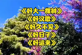 好字开头的5首经典老歌，你还能想到哪首歌是好字开头的