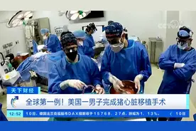 全球第一例！美国一男子完成猪心脏移植手术视频封面