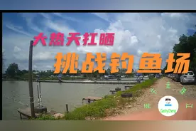 阡陌交错，珠江三角洲城外天气这么热，晌午还有许多人在野外钓鱼