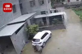 对不起，牛大哥别打我！男孩遭疯牛顶飞惨叫求饶逃过一劫视频封面