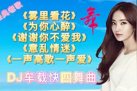 五首经典老歌《雾里看花》《为你心醉》DJ车载快四舞曲  让人陶醉