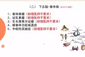 执医考试拿高分原来如此轻松