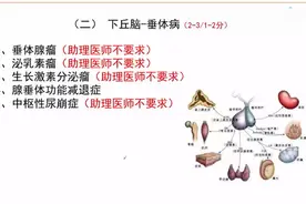 执医考试拿高分原来如此轻松
