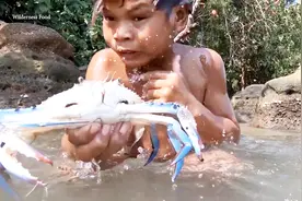 蓝色的螃蟹能吃吗？外国小伙野外活捉蓝腿蟹，野生烧烤美味极了