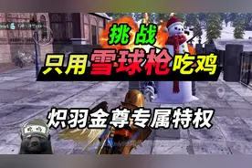 突击手蜜獾：挑战与职业选手只用雪球枪吃鸡！炽羽金尊真有特权！