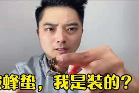 被虎头蜂蛰，我是装的？被蜂蛰了应急处理就是去医院视频封面