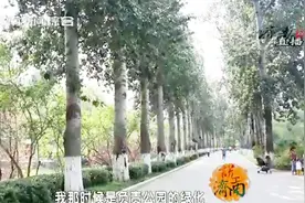 济南动物园镇园之宝金刚猩猩，已经43岁了！体格大的像头牛视频封面
