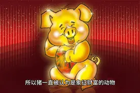 梦见猪是什么意思 预示着什么 周公解梦视频封面