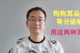 狗狗耳朵臭、有分泌物，主人可以使用这两种耳药，宠物医院都在用视频封面