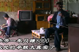农民真实生活有多不易，辛苦劳作一年，收入却只有区区几千元视频封面