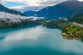 每天好心情《放松减压》荆棘的存在是为了野草不轻易地任人践踏。视频封面