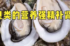 贝类的营养强精补肾视频封面