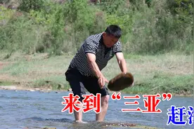农村兄弟去“三亚”分亚赶海，忙忙碌碌一天，结果一条鱼都没抓到视频封面
