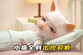 猫姐姐得了怪病，医生放弃治疗，猫爸爸的举动却引人深思！视频封面