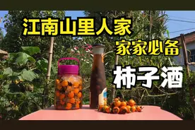 山里的野柿子黄了，采一些回家泡酒，你喝过柿子酒吗？