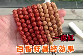 上色慢？不存在的，百香籽怎么盘，看看48小时的上色自然光效果