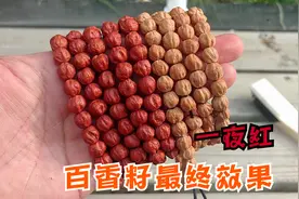 上色慢？不存在的，百香籽怎么盘，看看48小时的上色自然光效果