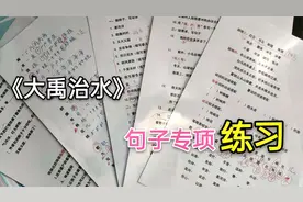 二年级语文，《大禹治水》，句子专项练习，针对性强视频封面